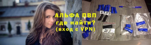 трава Новозыбков