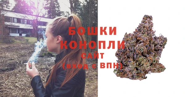 трава Новозыбков