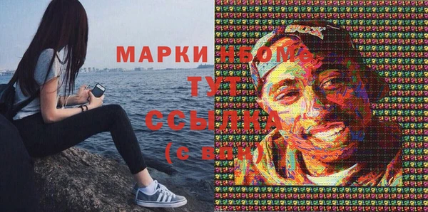 трава Новозыбков