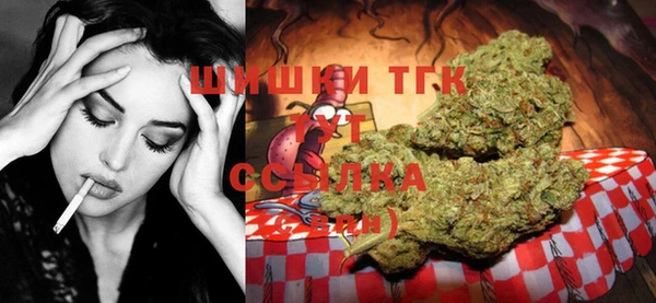трава Новозыбков