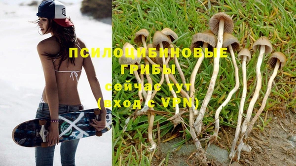 трава Новозыбков