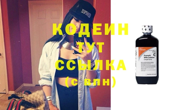трава Новозыбков