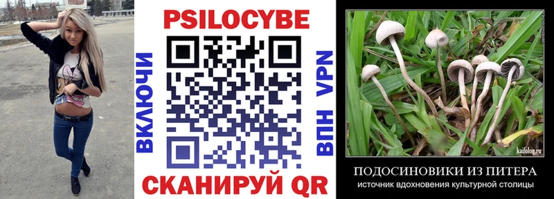 Псилоцибиновые грибы Psilocybe  Рассказово 