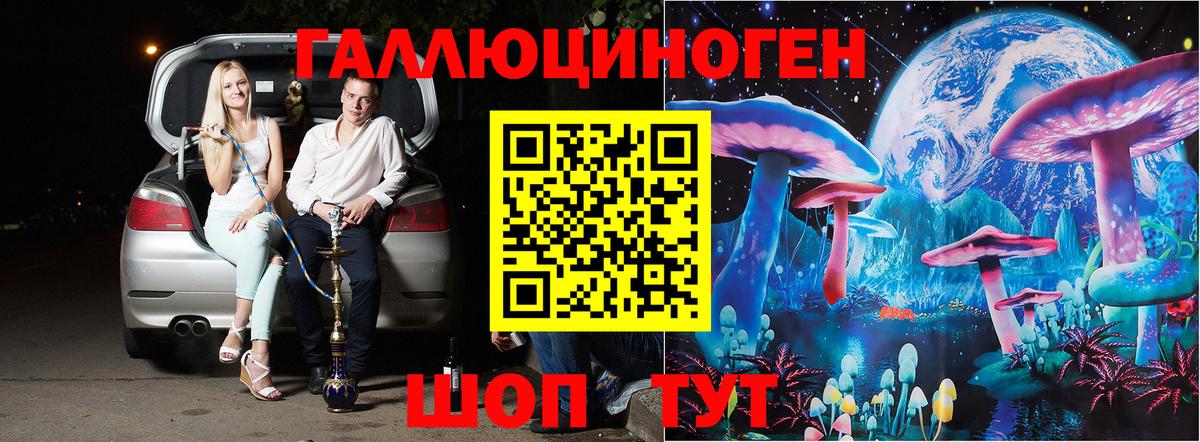 Галлюциногенные грибы Psilocybe  наркошоп  Рассказово  Псилоцибиновые грибы Psilocybe 